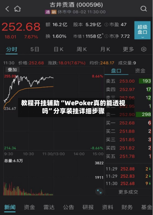 教程开挂辅助“WePoker真的能透视吗”分享装挂详细步骤-第3张图片