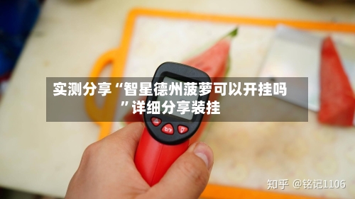 实测分享“智星德州菠萝可以开挂吗”详细分享装挂-第2张图片