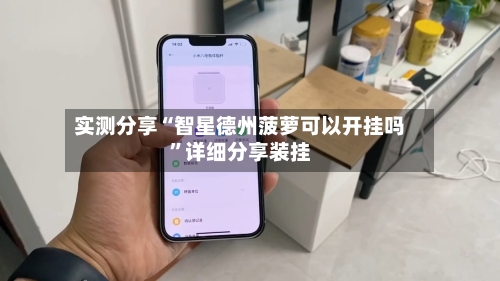 实测分享“智星德州菠萝可以开挂吗	”详细分享装挂-第3张图片
