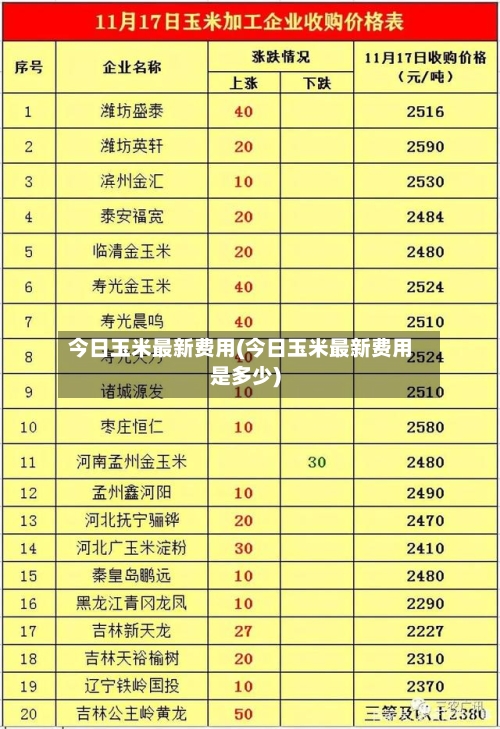 今日玉米最新费用(今日玉米最新费用是多少)