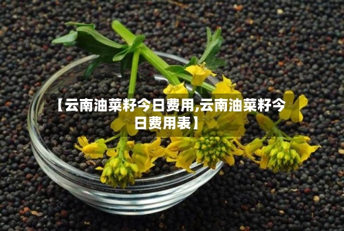 【云南油菜籽今日费用,云南油菜籽今日费用表】-第2张图片