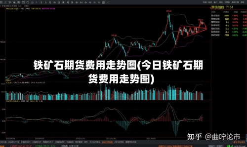 铁矿石期货费用走势图(今日铁矿石期货费用走势图)-第2张图片