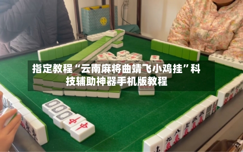 指定教程“云南麻将曲靖飞小鸡挂	”科技辅助神器手机版教程-第2张图片