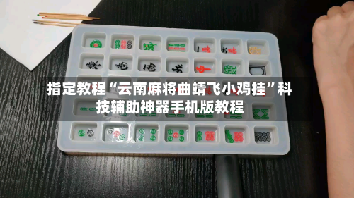 指定教程“云南麻将曲靖飞小鸡挂”科技辅助神器手机版教程-第3张图片