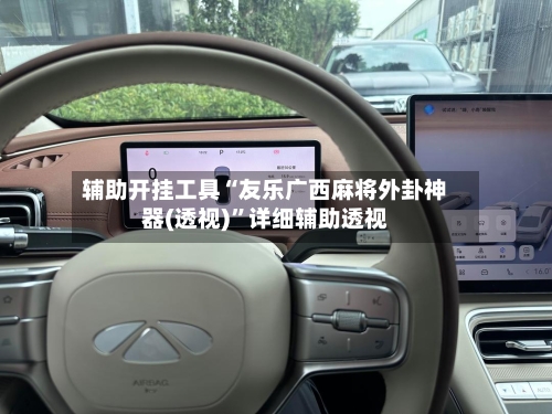 辅助开挂工具“友乐广西麻将外卦神器(透视)	”详细辅助透视-第2张图片