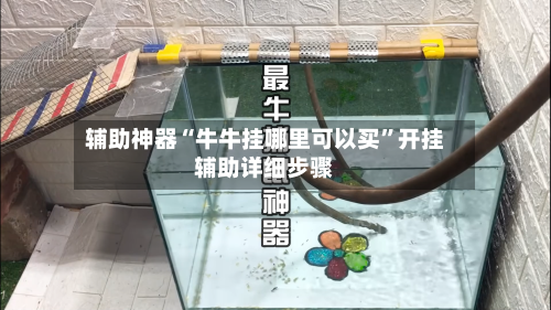 辅助神器“牛牛挂哪里可以买	”开挂辅助详细步骤-第2张图片