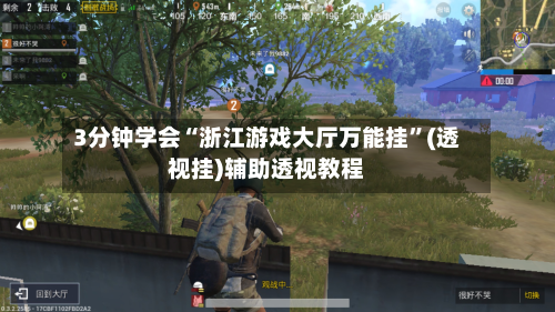 3分钟学会“浙江游戏大厅万能挂”(透视挂)辅助透视教程-第2张图片