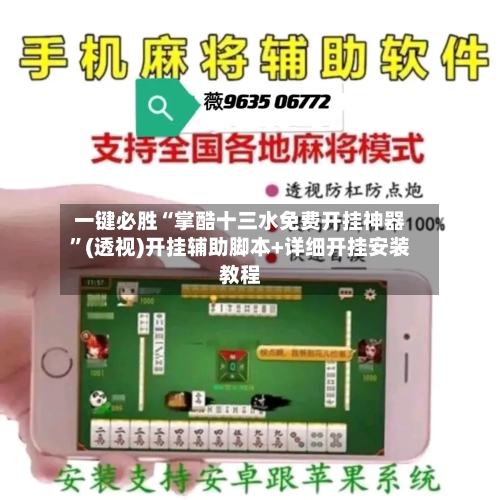 一键必胜“掌酷十三水免费开挂神器”(透视)开挂辅助脚本+详细开挂安装教程-第2张图片