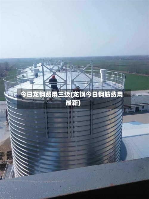 今日龙钢费用三级(龙钢今日钢筋费用最新)