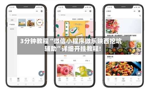 3分钟教程“微信小程序微乐陕西挖坑辅助”详细开挂教程!