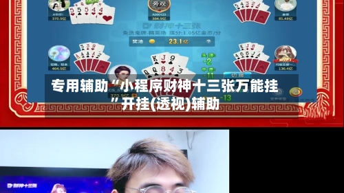 专用辅助“小程序财神十三张万能挂”开挂(透视)辅助-第3张图片