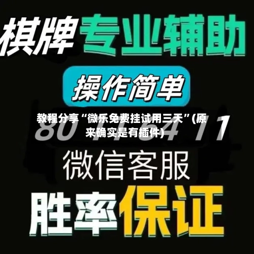教程分享“微乐免费挂试用三天”(原来确实是有插件)-第3张图片