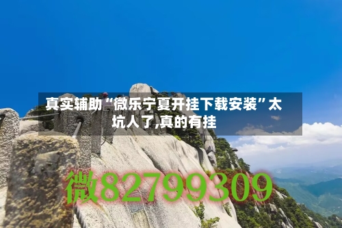 真实辅助“微乐宁夏开挂下载安装”太坑人了,真的有挂-第2张图片