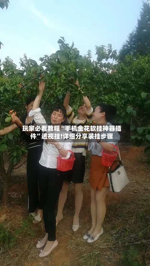 玩家必看教程“手机金花软挂神器插件	”透视挂!详细分享装挂步骤-第2张图片