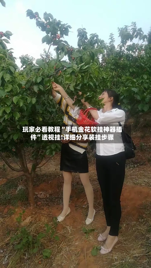 玩家必看教程“手机金花软挂神器插件”透视挂!详细分享装挂步骤