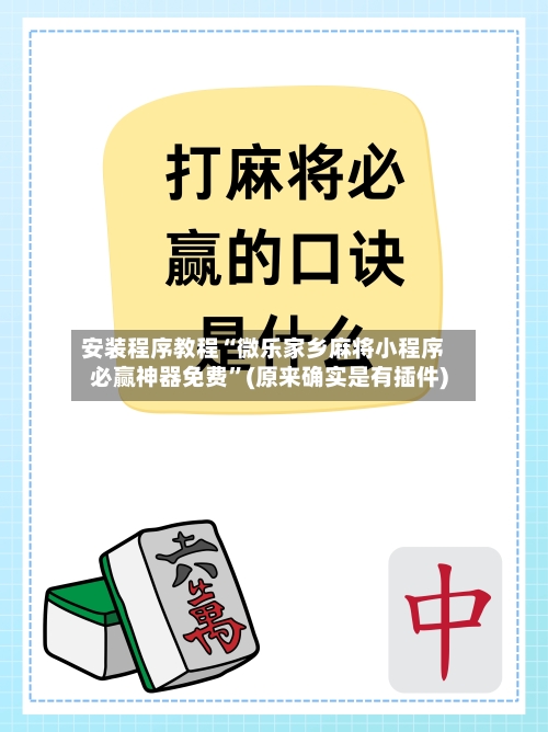 安装程序教程“微乐家乡麻将小程序必赢神器免费	”(原来确实是有插件)-第2张图片
