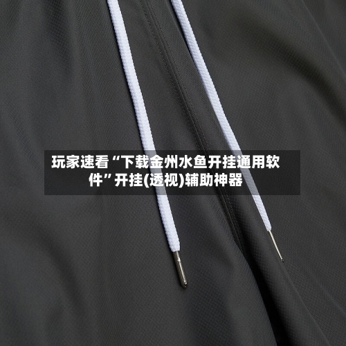 玩家速看“下载金州水鱼开挂通用软件”开挂(透视)辅助神器-第2张图片