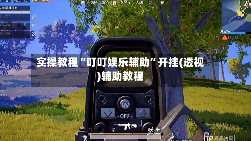 实操教程“叮叮娱乐辅助”开挂(透视)辅助教程-第3张图片