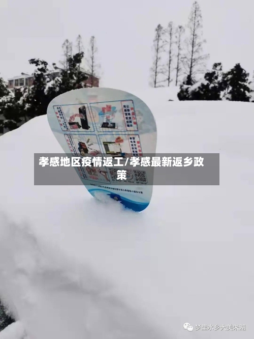 孝感地区疫情返工/孝感最新返乡政策-第3张图片