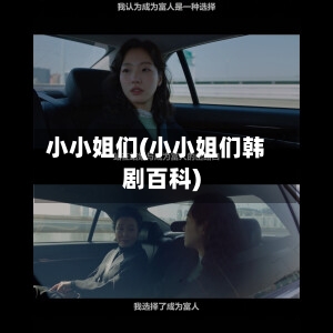 小小姐们(小小姐们韩剧百科)-第3张图片