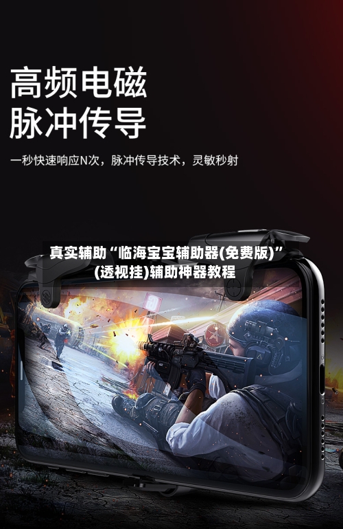 真实辅助“临海宝宝辅助器(免费版)”(透视挂)辅助神器教程-第2张图片