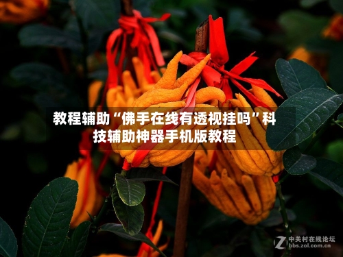 教程辅助“佛手在线有透视挂吗	”科技辅助神器手机版教程-第2张图片