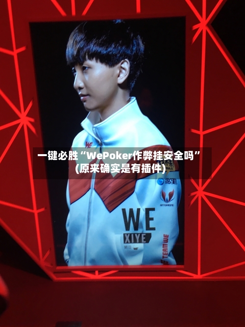 一键必胜“WePoker作弊挂安全吗”(原来确实是有插件)-第3张图片