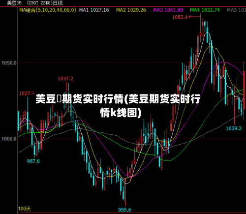 美豆粨期货实时行情(美豆期货实时行情k线图)