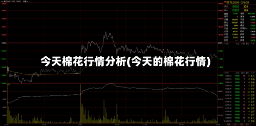 今天棉花行情分析(今天的棉花行情)