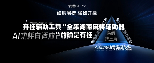 开挂辅助工具“全来湖南麻将辅助器”的确是有挂-第3张图片