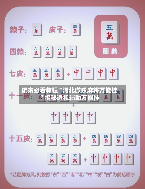 玩家必看教程“河北微乐麻将万能挂”揭秘透视辅助万能挂-第2张图片