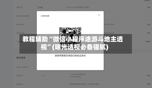 教程辅助“微信小程序途游斗地主透视”(曝光透视必备猫腻)-第3张图片