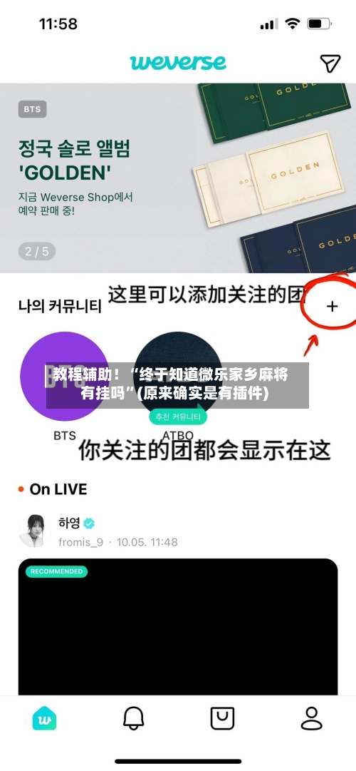 教程辅助！“终于知道微乐家乡麻将有挂吗”(原来确实是有插件)-第2张图片