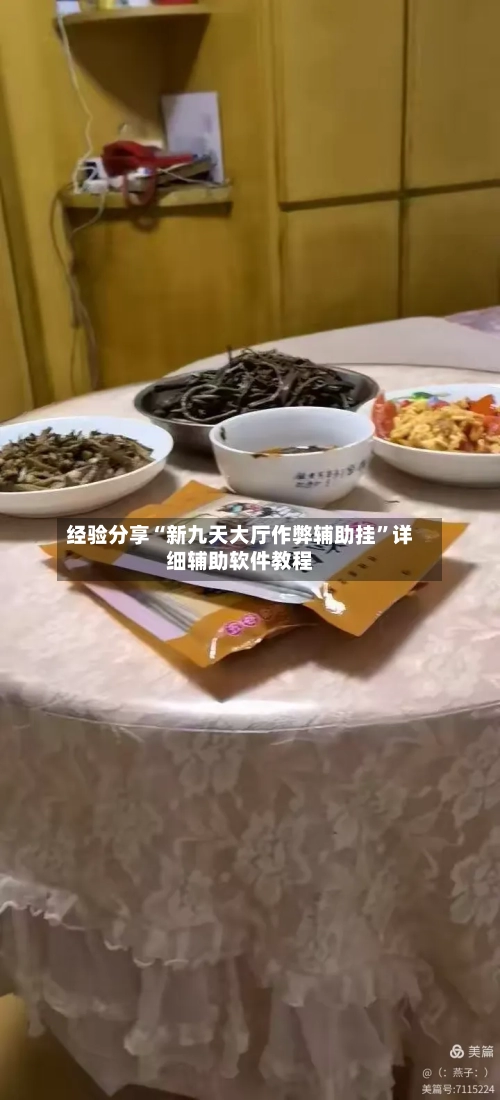 经验分享“新九天大厅作弊辅助挂”详细辅助软件教程-第2张图片