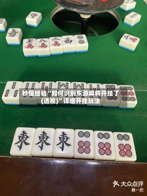 秒懂经验“如何识别东游麻将开挂了(透视)	”详细开挂玩法-第2张图片
