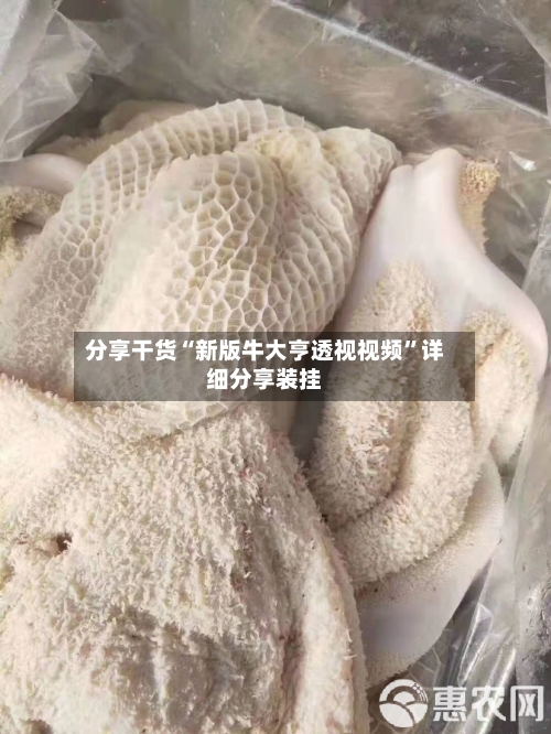 分享干货“新版牛大亨透视视频	”详细分享装挂-第2张图片