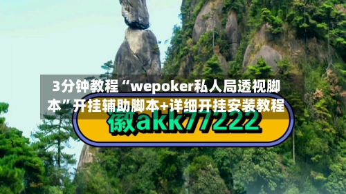 3分钟教程“wepoker私人局透视脚本”开挂辅助脚本+详细开挂安装教程-第3张图片
