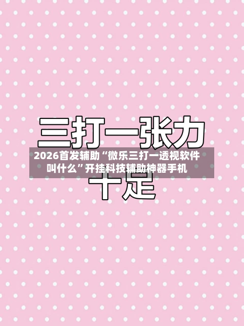 2026首发辅助“微乐三打一透视软件叫什么”开挂科技辅助神器手机-第2张图片
