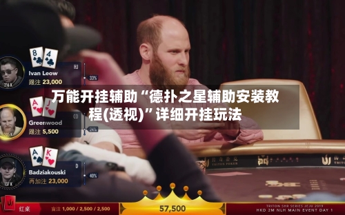 万能开挂辅助“德扑之星辅助安装教程(透视)”详细开挂玩法-第2张图片