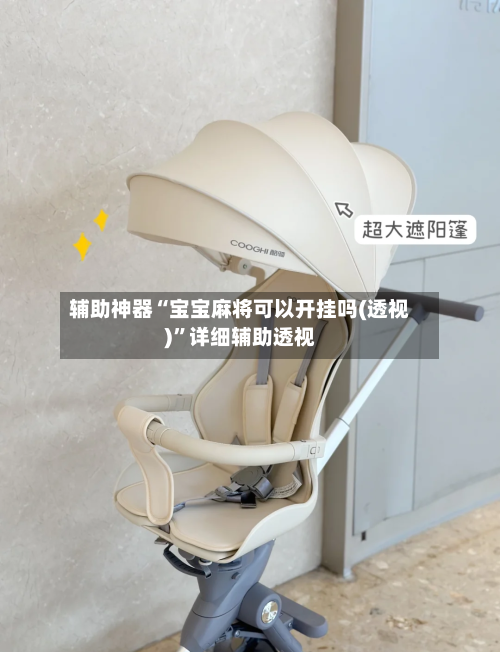 辅助神器“宝宝麻将可以开挂吗(透视)”详细辅助透视-第2张图片