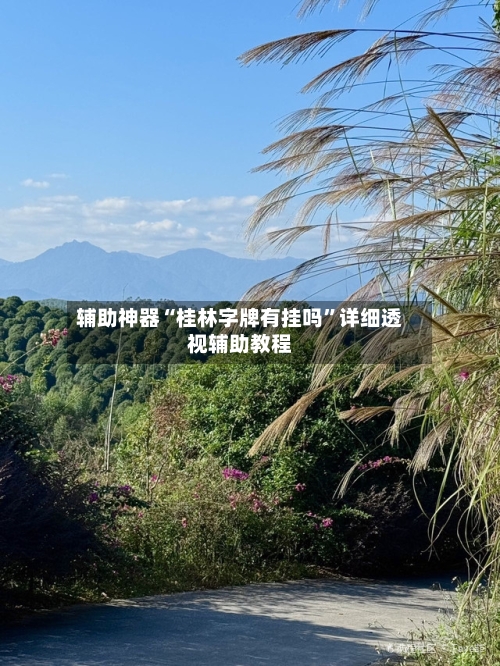 辅助神器“桂林字牌有挂吗”详细透视辅助教程-第2张图片