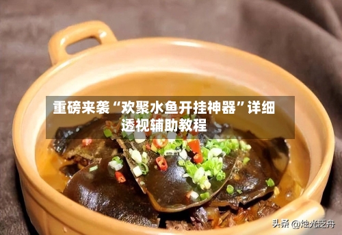 重磅来袭“欢聚水鱼开挂神器”详细透视辅助教程-第2张图片