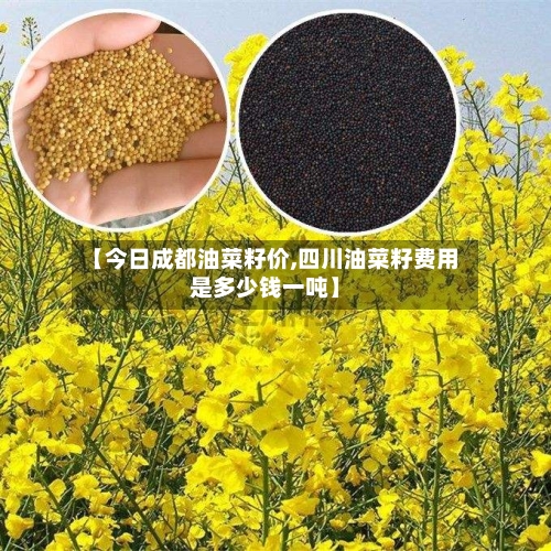 【今日成都油菜籽价,四川油菜籽费用是多少钱一吨】