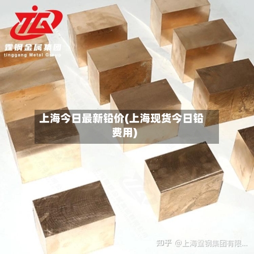上海今日最新铅价(上海现货今日铅费用)-第3张图片