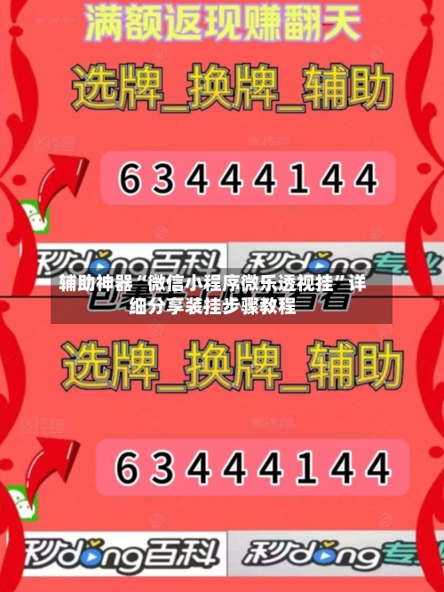 辅助神器“微信小程序微乐透视挂”详细分享装挂步骤教程-第3张图片