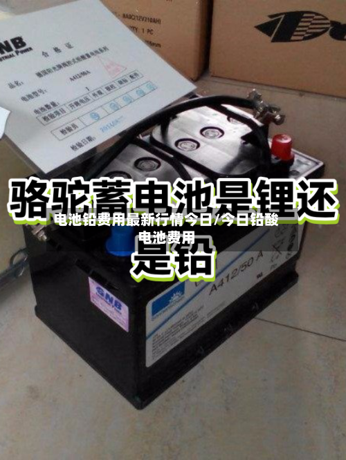 电池铅费用最新行情今日/今日铅酸电池费用