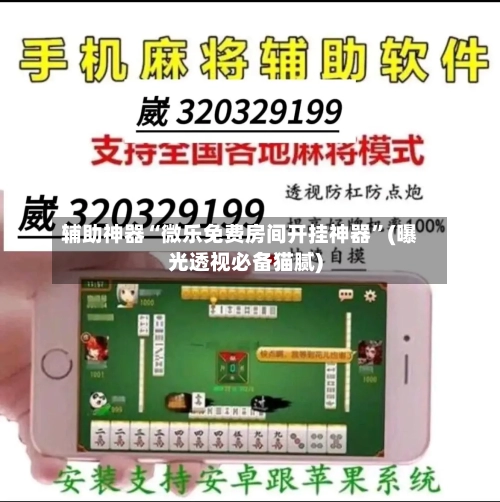 辅助神器“微乐免费房间开挂神器”(曝光透视必备猫腻)-第3张图片