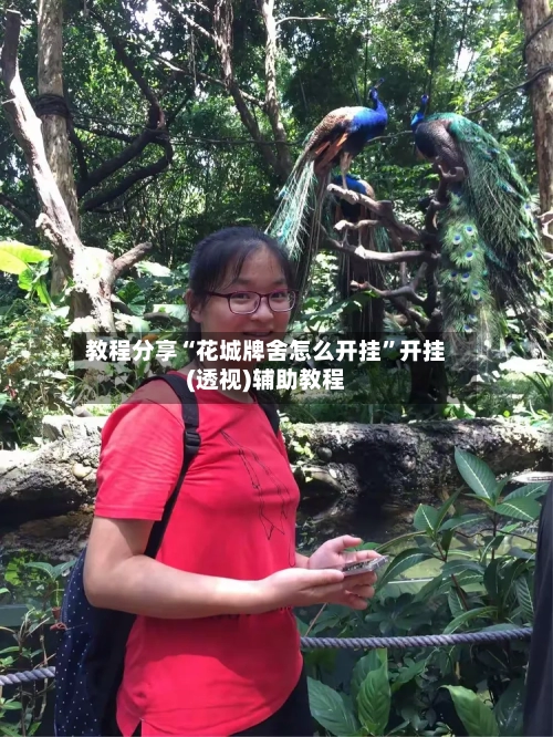 教程分享“花城牌舍怎么开挂”开挂(透视)辅助教程