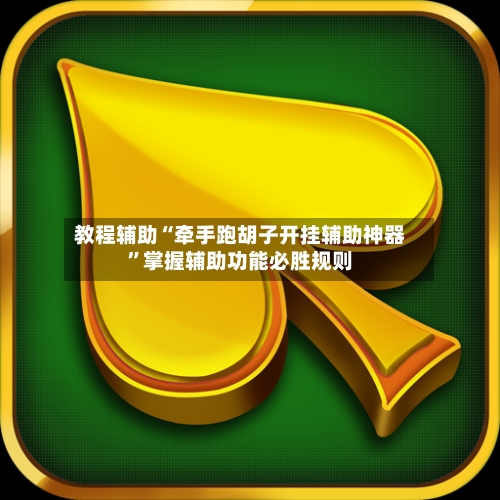 教程辅助“牵手跑胡子开挂辅助神器”掌握辅助功能必胜规则-第3张图片