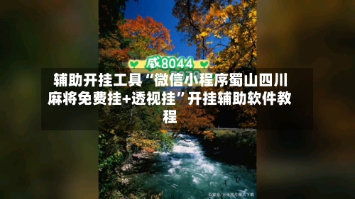 辅助开挂工具“微信小程序蜀山四川麻将免费挂+透视挂”开挂辅助软件教程-第3张图片
